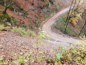 Plazišče v Pologu (Foto Boštjan Uršič) (4)-1800